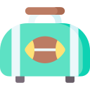 bolso icon