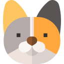 gato munchkin icon