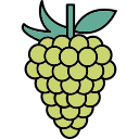 uvas icon