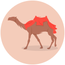 camello icon