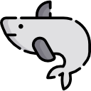 ballena icon