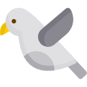 pájaro icon