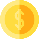 Coin icon