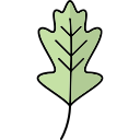 hoja de roble icon