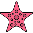 estrella de mar icon