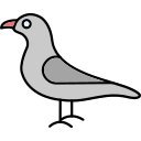 gaviota icon