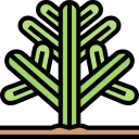 cactus icon