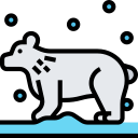 oso polar