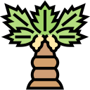 palmera icon