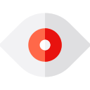 ojo icon