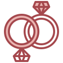 anillo icon