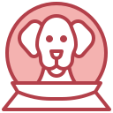 perro icon