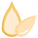 semilla de calabaza icon