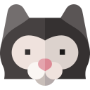 gato icon