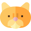 gato persa icon