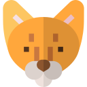 gato abisinio icon