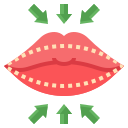 aumento de labios icon