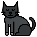 gato negro icon