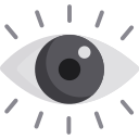 ojo icon