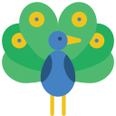 pavo real icon