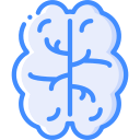 cerebro icon