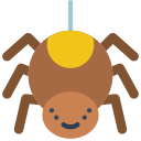 araña icon