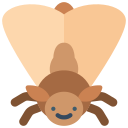 polilla icon