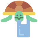 tortuga icon