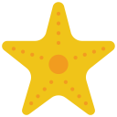 estrella de mar 