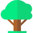 Árbol icon