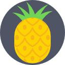 piña icon