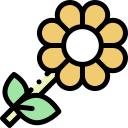 flores icon