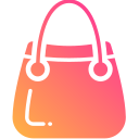 bolso icon