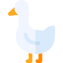 pato