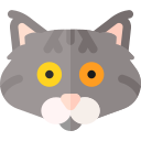 gato siberiano 