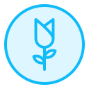 rosa icon