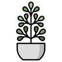 planta icon