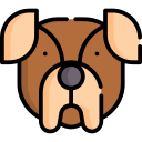 perro icon