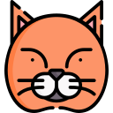 gato icon