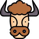 yak 