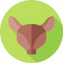 armadillo icon