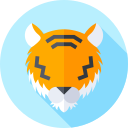 tigre icon