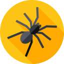 araña icon