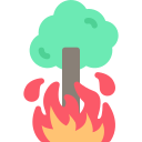 arbre en feu 