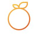 naranja icon