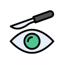 ojo icon