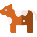 vaca icon