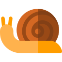 caracol