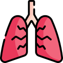 pulmones icon