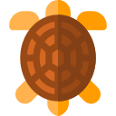 tortuga icon